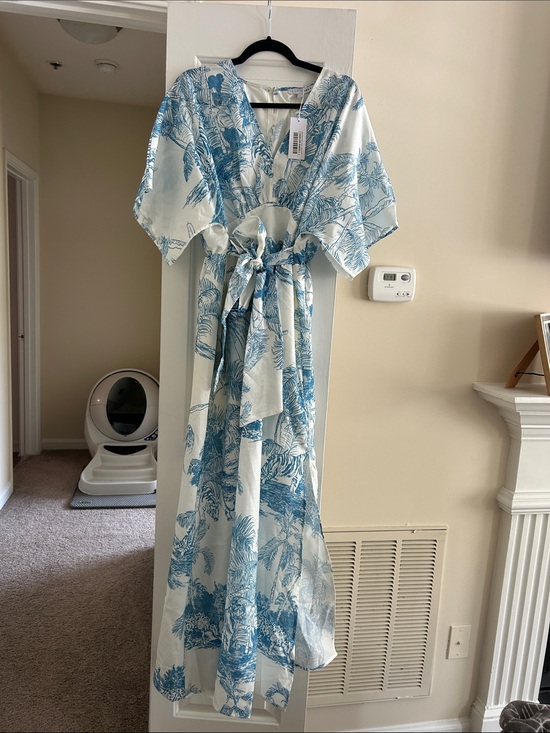 Baltic Born Dresses & Skirts - Baltic Born Blue and White Floral Maxi Dress
